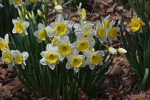 2025-04046232 Tower Hill Botanic Garden, MA